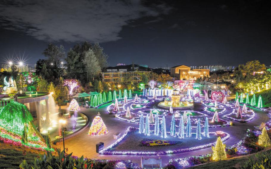 the garden is illuminated.