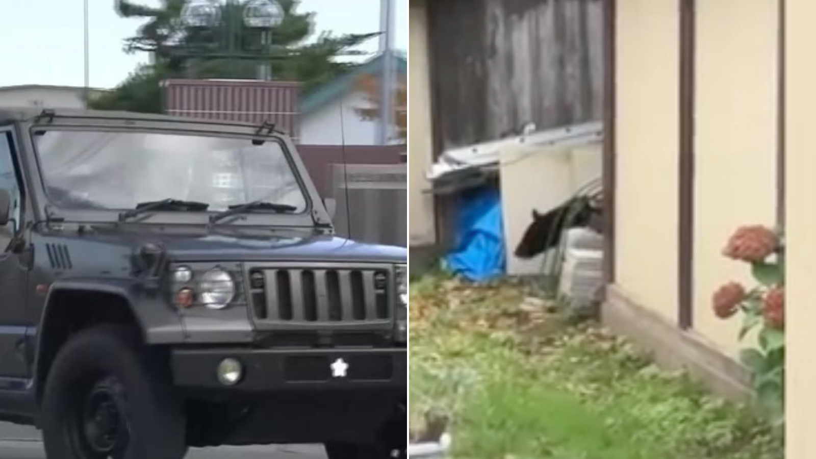 Troops deployed in northern Japan to help stop bear attacks after surge in casualties