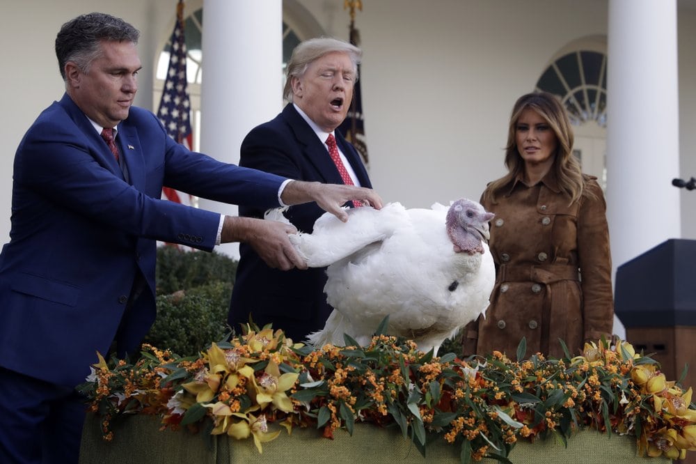 Trump Turkey Pardon