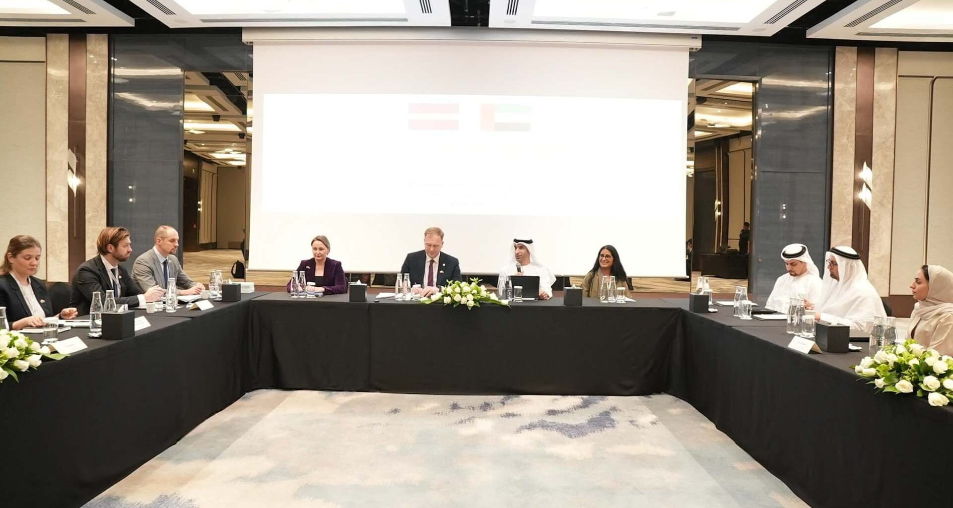 UAE and Latvia discuss boosting bilateral ties