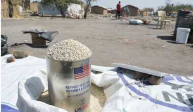 US foreign policy and Sudan: hypocrisy, incoherence and self-interest