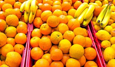 Tariff Cuts Could Lower Prices on More Than 200 Grocery Staples