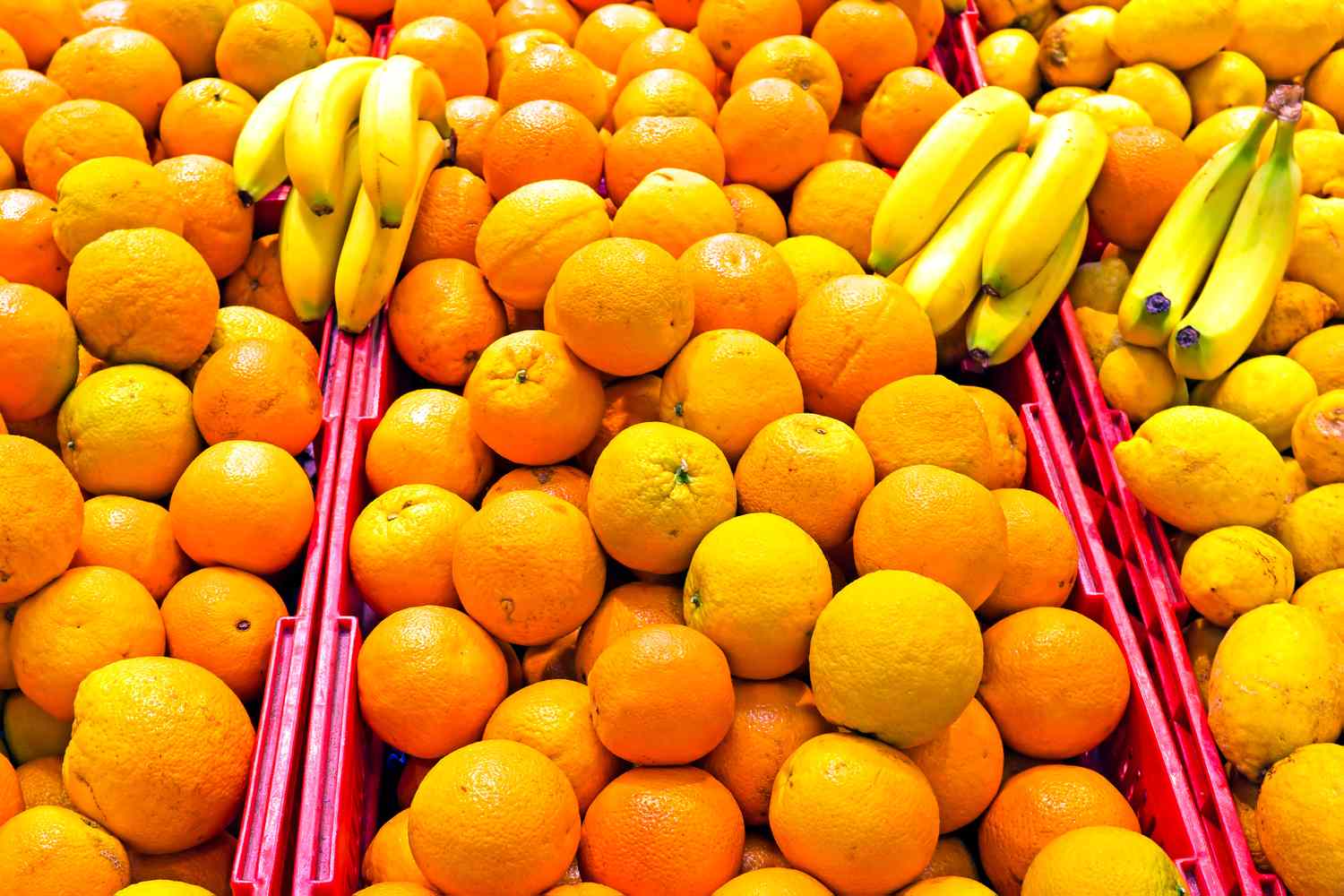 Tariff Cuts Could Lower Prices on More Than 200 Grocery Staples