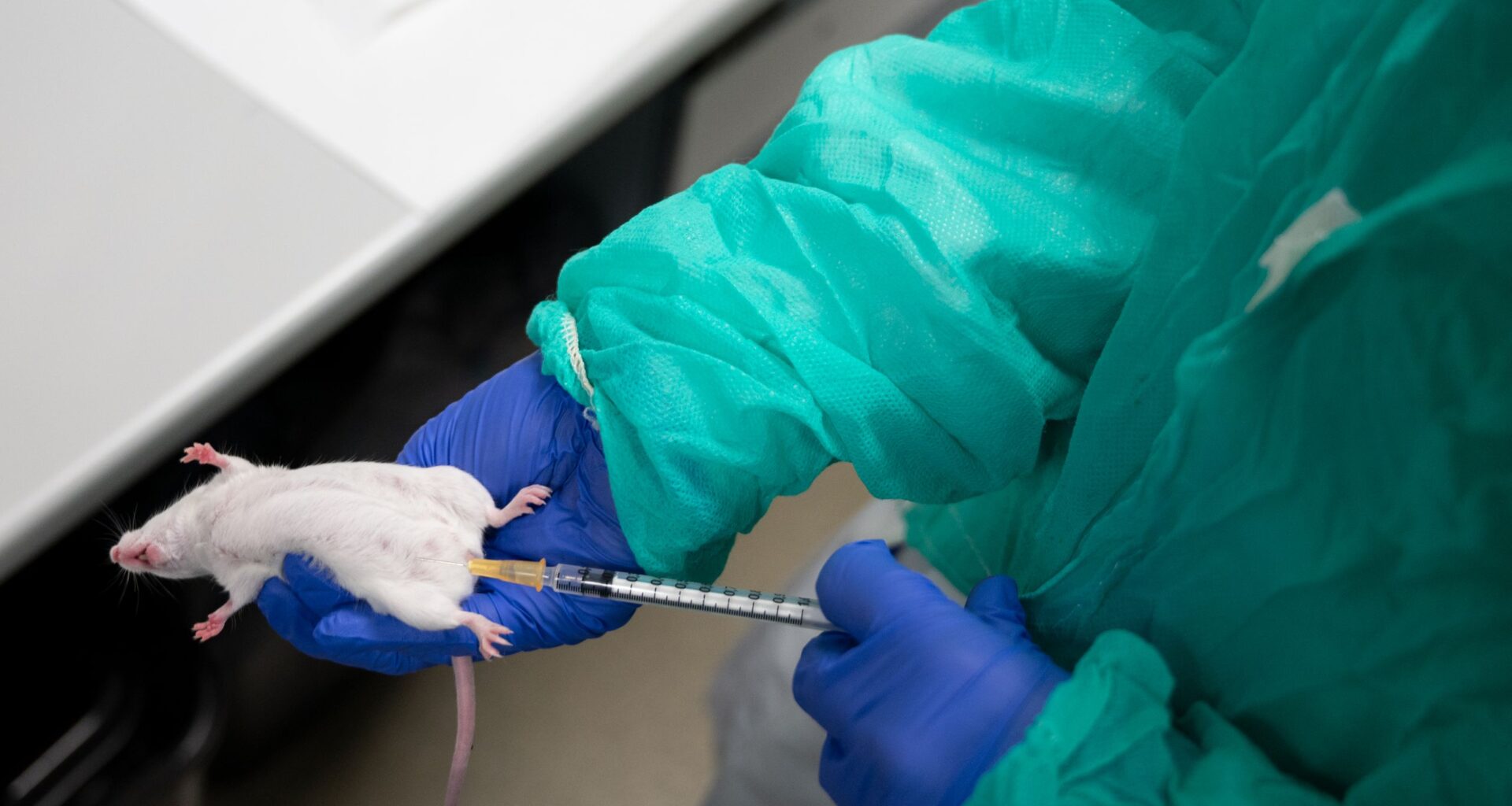 How the UK will eradicate animal testing