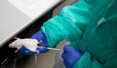 How the UK will eradicate animal testing