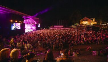 Nigeeria petukirjade uskumine läks Viljandi folgi raamatupidajale kalliks maksma.