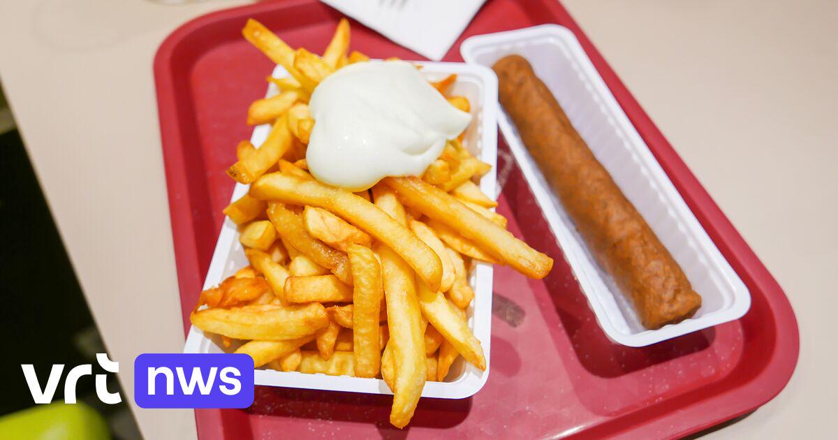 2 op de 3 Vlamingen vinden dat je voor échte, lekkere frieten in de frituur moet zijn | VRT NWS: nieuws