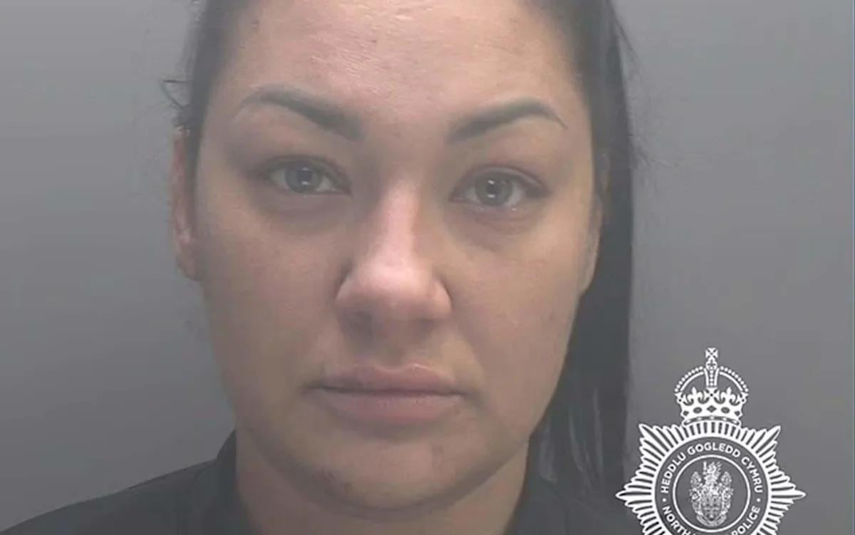 Deported Polish drug dealer tried to sneak back to UK through Ireland