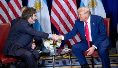 Argentina's government halt the construction of a $350 million dollar radio-telescope that had been planned in collaboration with China