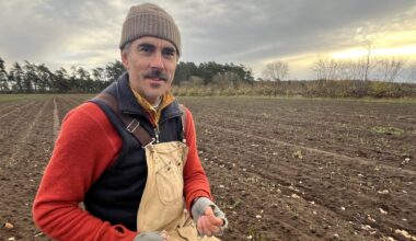 Karl skördar skånsk saffran – kräver 200 000 blommor per kilo - P4 Kristianstad