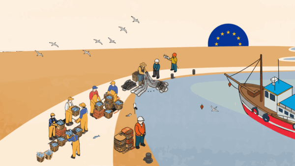 EU Pushes for Transparency and Sustainability in Fisheries Quota Allocation