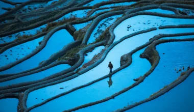 COP30 climate negotiations on adaptation and resilience