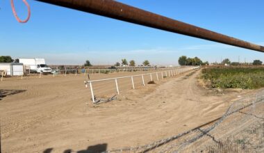 Federal judge orders release of 16 migrants detained in Idaho raid, citing due process violations