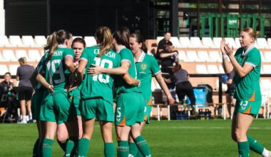 Republic of Ireland get the better of Hungary in Marbella friendly – The Irish Times