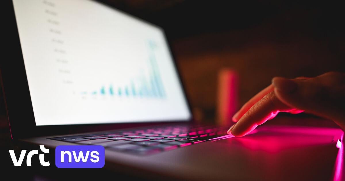 "Structurele inbreuken": Rekenhof (opnieuw) vernietigend over hoe overheid miljarden aan consultants spendeert