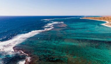 Climate Change Is the Biggest Threat to 43% of the World's Natural Heritage Sites /   World Heritage natural sites cover less than 1% of the planet’s surface, yet they host more than 20% of all species, including over 20,000 species threatened with extinction  
#GlobalCarbonFeeAndDividendPetition