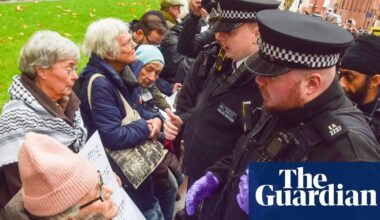 Removal of judge in Palestine Action ban legal challenge ‘deeply concerning’