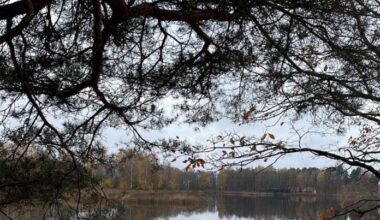 Cloudy weather and local fog on Thursday in Latvia; slightly sunnier weekend ahead
