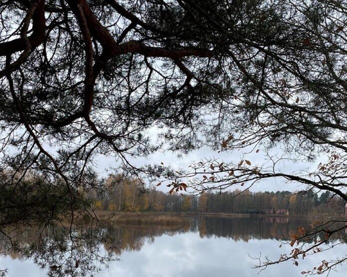 Cloudy weather and local fog on Thursday in Latvia; slightly sunnier weekend ahead