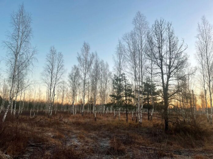 Snow returns to Latvia at the start of the week: slippery roads and subzero temperatures expected