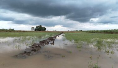 Nearly 90% of adults in Maharashtra say they have personally experienced global warming