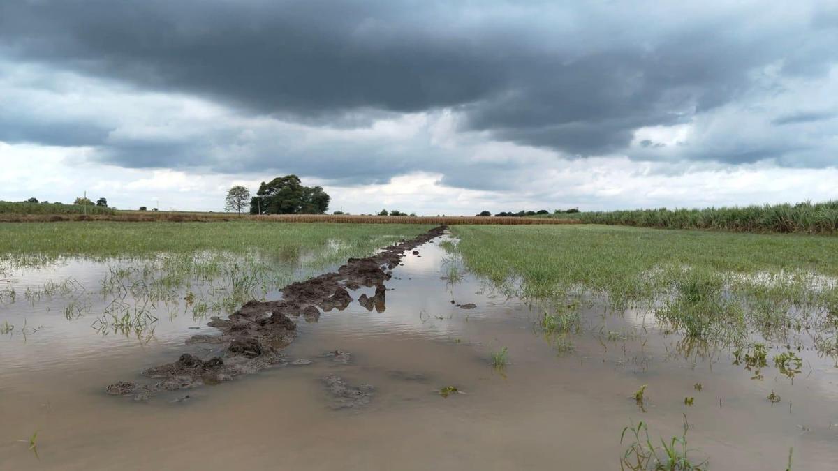 Nearly 90% of adults in Maharashtra say they have personally experienced global warming