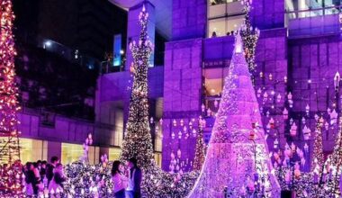 VIDEO: Japan's festive lights illuminate the holiday season