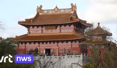 "Amper 3 procent komt met de trein": dierenpark Pairi Daiza krijgt eigen treinstation.