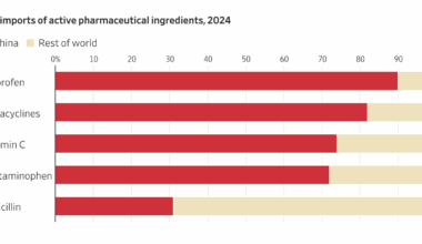 How China’s Chokehold on Drugs, Chips and More Threatens the U.S.