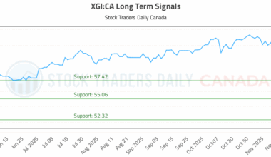 (XGI) Long Term Investment Analysis