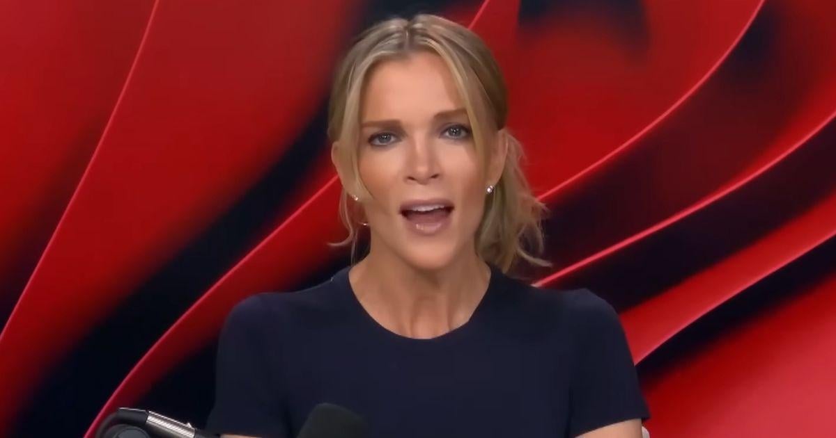 Megyn Kelly branded 'a danger to children' after shocking Jeffrey Epstein comments