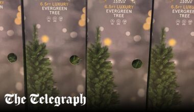 Tesco renames Christmas tree as ‘evergreen tree’. Critics say decision is ‘stupid nonsense’