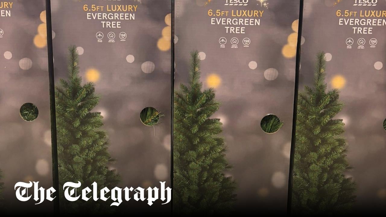 Tesco renames Christmas tree as ‘evergreen tree’. Critics say decision is ‘stupid nonsense’