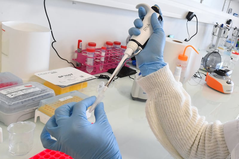 Covid activity, meanwhile, is decreasing, with cases and hospitalisations declining week-on-week and intensive care admissions and deaths remaining low. Photograph: Jean-Francois Monie/Getty Images  