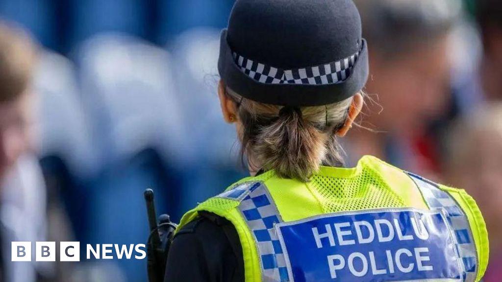 Devolve policing when crime commissioners go, says Plaid Cymru