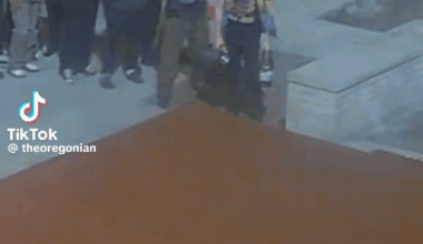 The Oregon DOJ, aiming to block federal National Guard deployment to Portland, submitted videos showing federal officers using force against seemingly nonviolent protesters outside the ICE building on multiple nights since June.