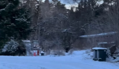 På förekommen anledning