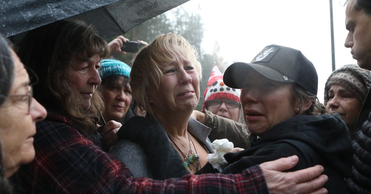 CFIA says B.C. ostrich cull to go ahead after high court won’t hear appeal - CTV News