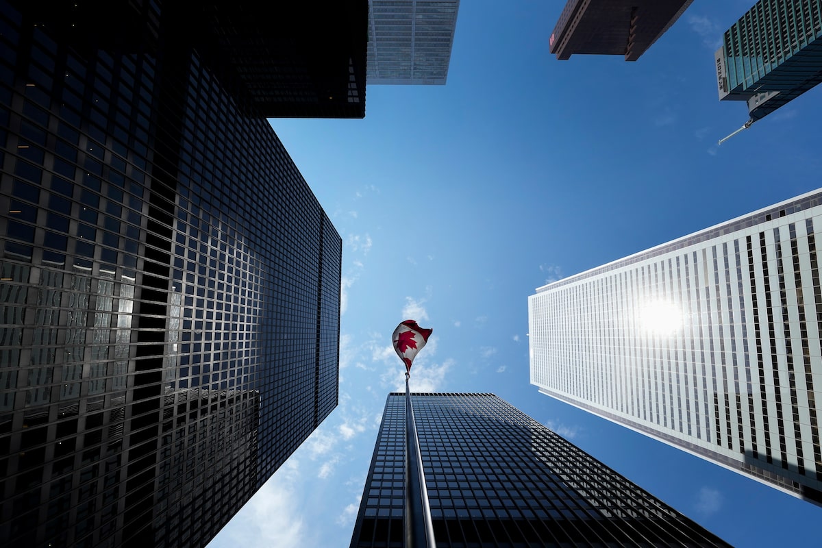 Should companies disclose to investors how they contribute to Canada?