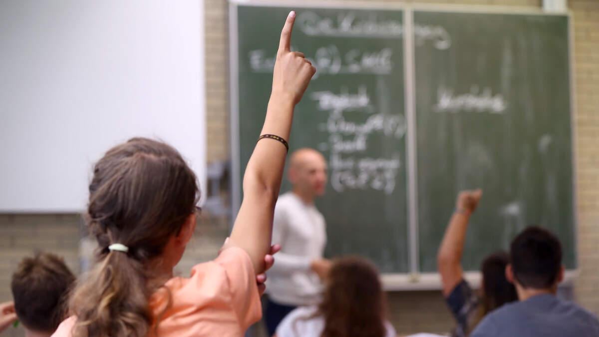 European school students outperforming pupils following Luxembourgish curriculum | Luxembourg Times