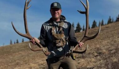 Hunter seriously injured in bear attack south of Cochrane now in stable condition: EMS - CTV News