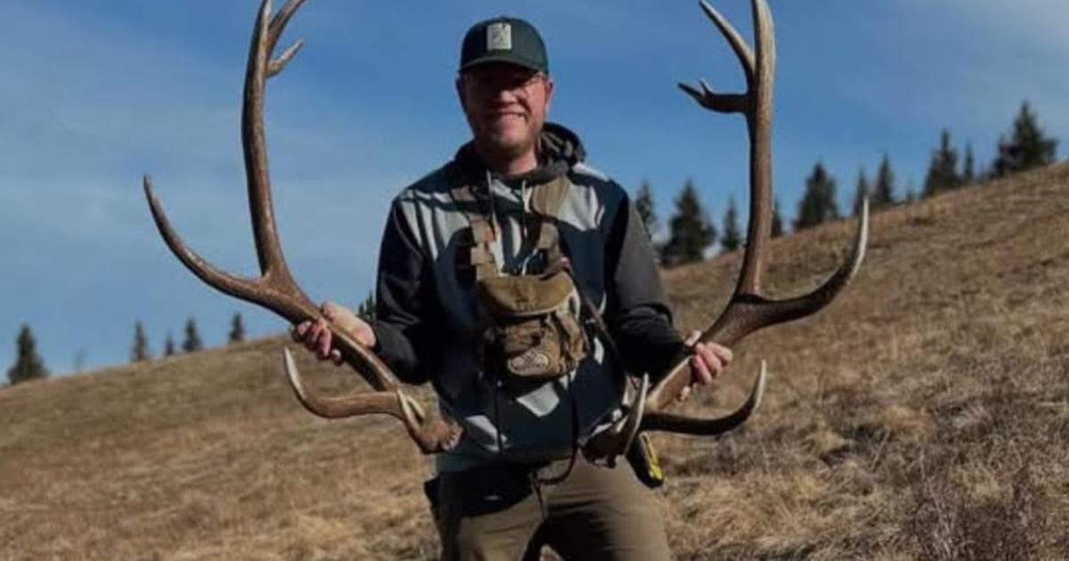 Hunter seriously injured in bear attack south of Cochrane now in stable condition: EMS - CTV News