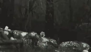 A russian soldier on the phone and smoking is shot by a Ukrainian Sniper as seen through a thermal camera. November 2025