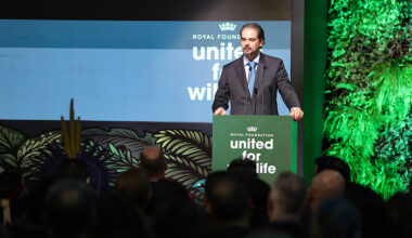 INTERPOL, UNODC And Norway Step Up Global Fight Against Forest Crime – Eurasia Review