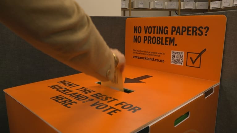 A person votes at the ballot box (file image). 