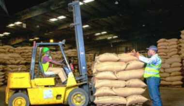 Cameroon Posts Trade Surpluses with Netherlands, Malaysia and Indonesia on Cocoa Exports