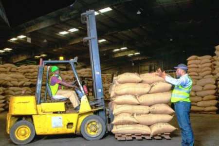 Cameroon Posts Trade Surpluses with Netherlands, Malaysia and Indonesia on Cocoa Exports