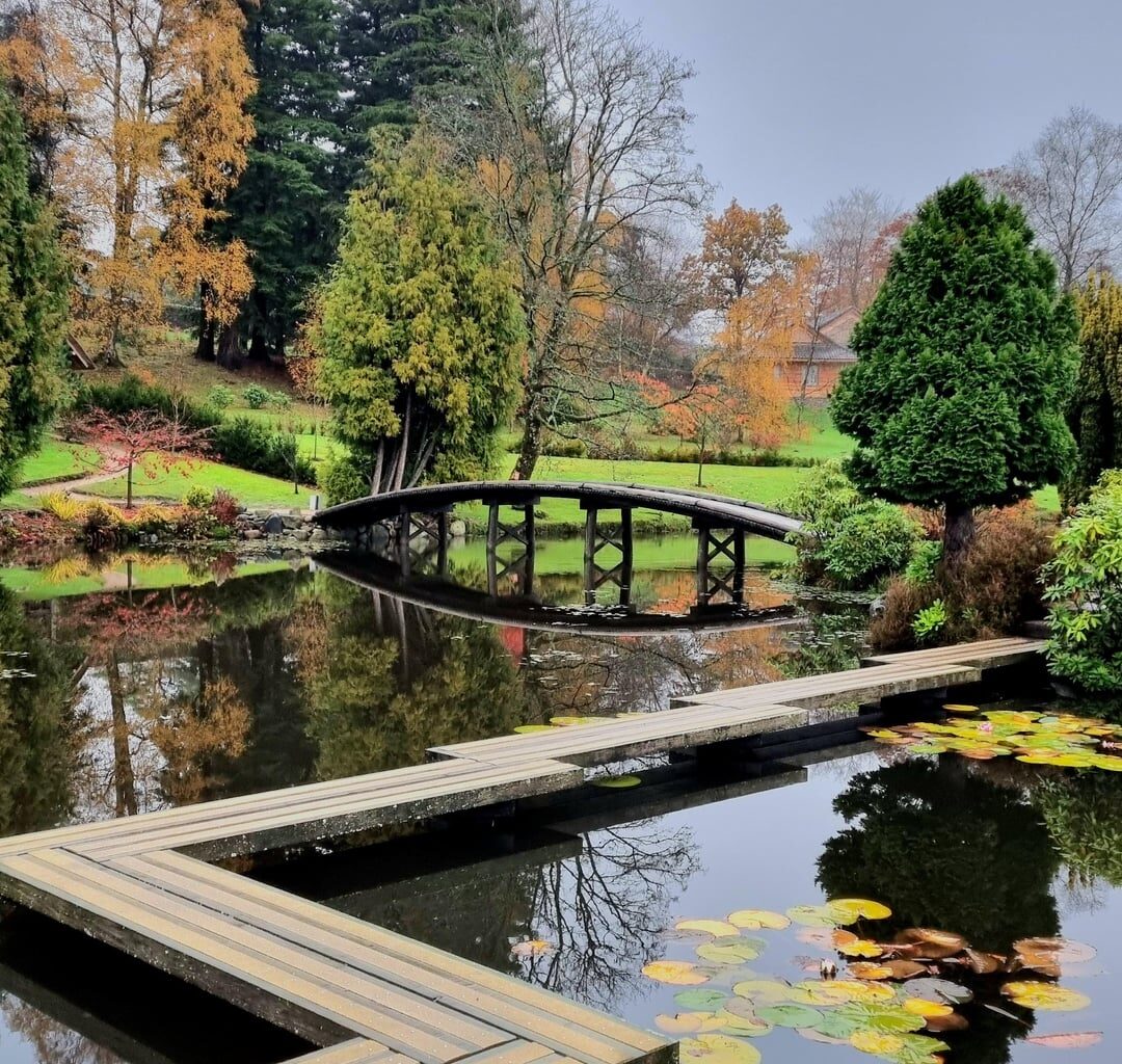 Autumnal colours of the Japanese Garden at Cowden