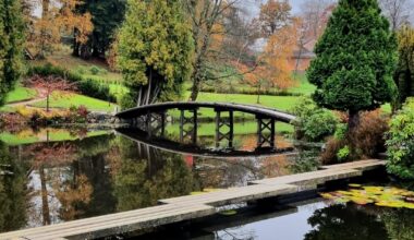 Autumnal colours of the Japanese Garden at Cowden