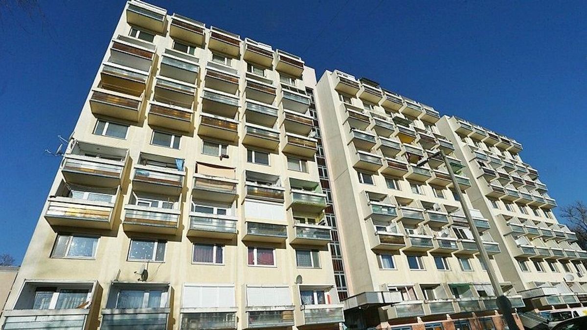 A renitens lakóknak szigor, barátoknak luxus jár Szegeden